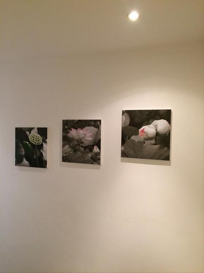 Cuore Di Testaccio Apartment Roma Dış mekan fotoğraf